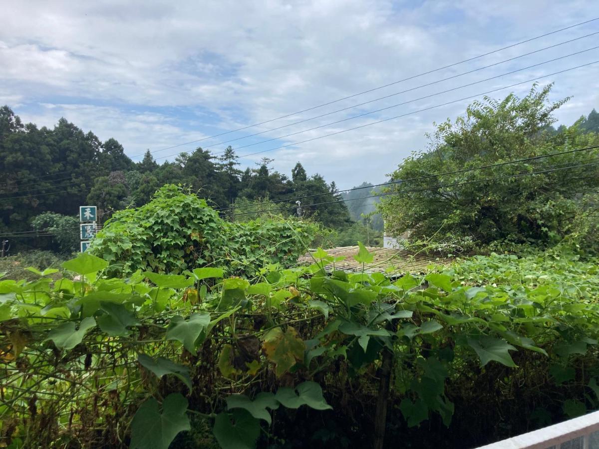 老老街 誠君民宿 Fenchihu Extérieur photo